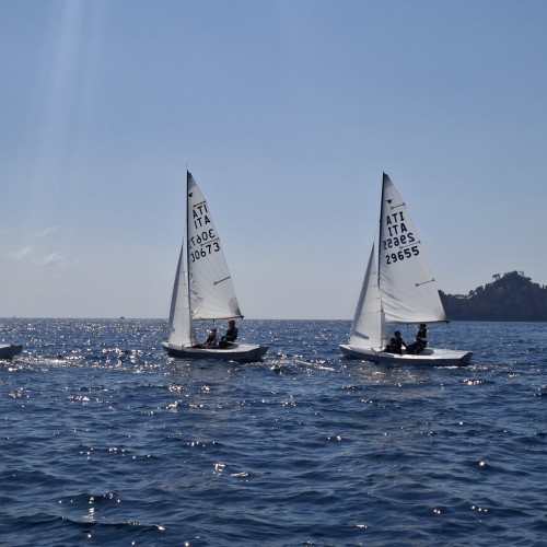 20250406_140551.jpg