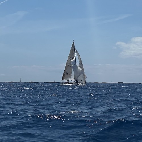 IMG_5672.jpg